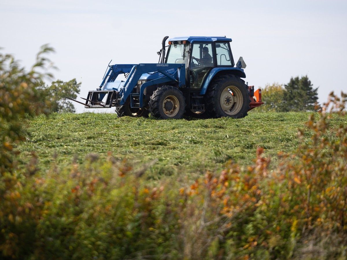 Diesel costs hitting Nova Scotia farmers hard, consumers absorb it through higher food prices