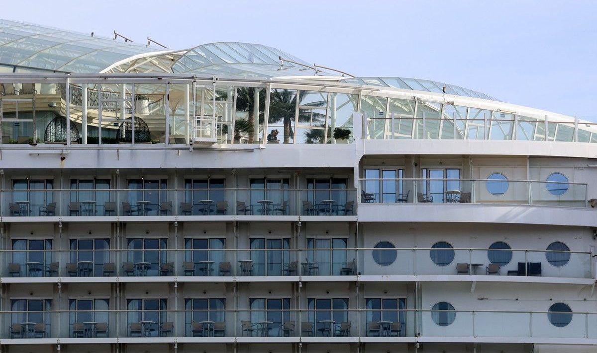 A palm tree can be seen in the top deck atrium of the rerouted cruise ship, Oasis of the Seas, in Halifax on Wednesday.