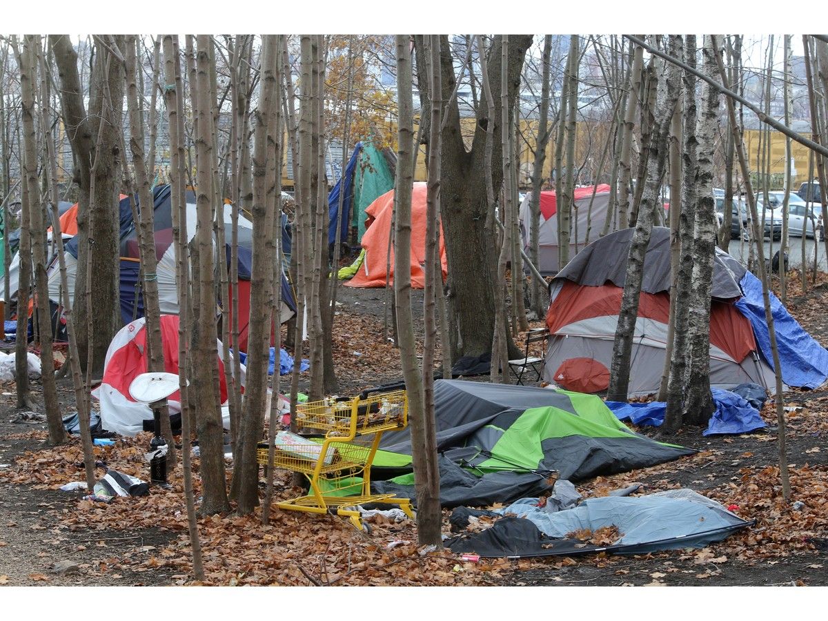 Jeffrey Alexander Emmerson, 56, was found dead in a tent at the Geary Street homeless encampment in Dartmouth in December 2024. Kiara Marie Organ, 23, was arrested last month and charged with manslaughter in Emmerson's death.