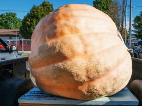In the New Year, Port Elgin Pumpkinfest officials will invite people who love the annual festival to a meeting tyo hear what they'd like to see atg future events and what they can do to make it happen. [Pumpkinfest]