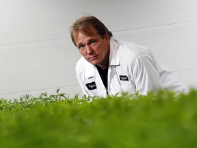Bruce Linton was the third highest-earning cannabis executive in 2019. /