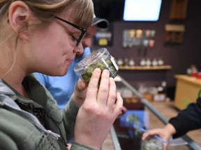 FILE: Tourist Laura Torgerson, visiting from Arizona, smells cannabis buds at the Green Pearl Organics dispensary on the first day of legal recreational marijuana sales in California, Jan. 1, 2018 in Desert Hot Springs, Calif. /