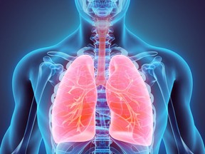 Using commercially available design software and a 3D printer, researchers developed and validated a novel 3D-printed, “in vitro exposure system (IVES) that can be directly applied to study the effect of cannabis smoke exposure on primary human bronchial epithelial cells.” /