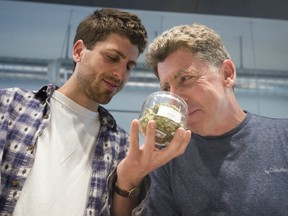 FILE: Two men smell marijuana buds at Farma, a marijuana dispensary in Portland, Oregon on Oct. 4, 2015.