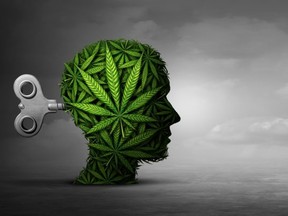 “The limited, potentially underpowered evidence does not support the hypothesis that cannabis use has a deleterious impact on neuropsychological tasks in transitional age youth with ADHD.” /