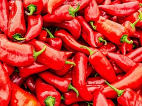 U.S. researchers found that “significantly more patients in the capsaicin group experienced efficacy” compared to patients who were not administered the treatment. /