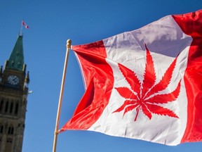 FILE: A flag with a marijuana leaf is held on Parliament Hill in Ottawa, Canada.