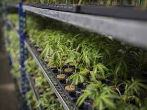 Unlike Ontario's plan, which requires the government to oversee the wholesale market, the prairie provinces allow producers to sell directly to retail owners.
