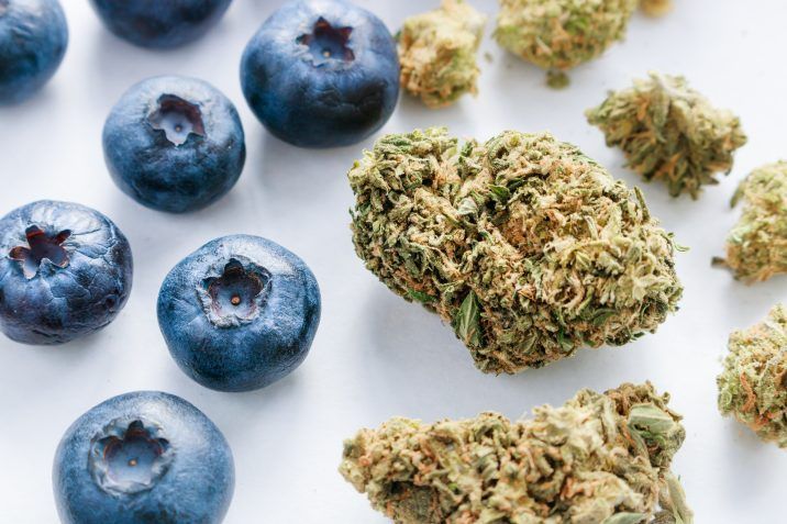 Blueberry is a tough cannabis strain to find, but it and its many cousins are the pick of the crop