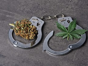 Inside the vehicle, there was five pounds (2.3 kg) of cannabis and 4,500 grams of THC concentrated oil in 10 mason jars.