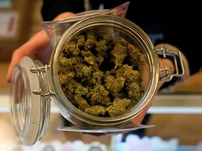 FILE: An employee holds a jar of marijuana on sale at the Greenstone Provisions after it became legal in the state to sell recreational marijuana to customers over 21 years old in Ann Arbor, Michigan, U.S., Dec. 3, 2019. /