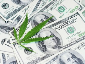 Respondents asked if they “support allowing cannabis businesses to access banking services such as checking accounts and business loans in states where cannabis is legal.” /