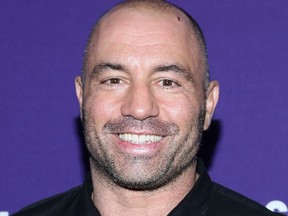 FILE: Joe Rogan of "Question Everything" attends Syfy 2013 Upfront at Silver Screen Studios at Chelsea Piers on April 10, 2013 in New York City. /