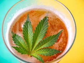 Nearly eleven months after regulators allowed the sale of cannabis beverages, very few brands have been able to reach shelves.