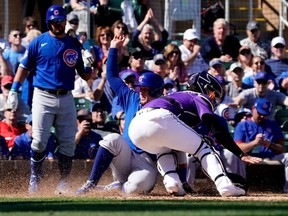 FILE: Image for representation. Chicago Cubs designated hitter Noel Cuervas scores a run against Colorado Rockies catcher Tony Wolters (14) during a spring training game at Salt River Fields at Talking Stick. /