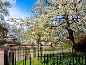 In London, for example, communal gardens are semiprivate spaces, many dating back to Georgian and Victorian times.