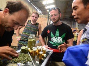 FILE: Card-carrying medical marijuana patients attend Los Angeles’ first-ever cannabis farmer's market at the West Coast Collective medical marijuana dispensary, on the fourth of July, in Los Angeles, Calif.