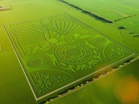 Artist Shepherd Fairey's design was mown into 76 acres — the equivalent of 57 football fields — on a farm in Kansas. Photo: CNW Group / Charlotte's Web PR Marketing