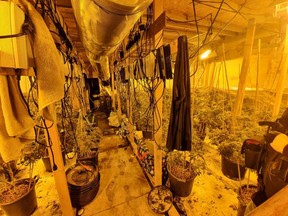 Police found plants, air ducts, special lights, power banks and wood frames.
