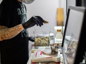 Howell’s entire yield was seized, including 739 cannabis plants, 54 kilograms of freshly-harvested weed, and just under three kilograms of dried flower, as well as a variety of equipment for cultivation and manufacturing extractions and concentrates.