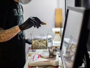 Despite many industries suffering COVID-19 -related financial blows that led to massive furloughs and layoffs, the cannabis industry has experienced a surge in pot sales throughout the pandemic.