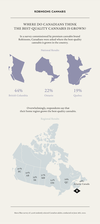 Infograph: Auxly Cannabis