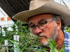 Jim Belushi at home on his farm.