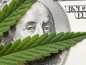 Despite more U.S. states legalizing adult-use cannabis, some suggest “we won’t see any money from those states for a while.” /