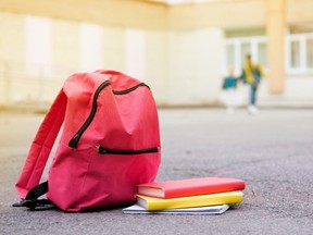 Image for representation. The backpack held a plastic bag with about 12 grams of bud, the recreational form of which is illegal in Florida. /