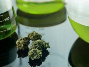The review represents the first quantitative analysis to try and understand where cannabis research is directed.