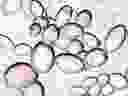 The biosynthesis process “uses patent-pending yeast strains and enzymes to produce pure cannabinoids (not synthetic).”