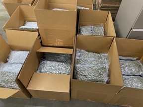 Internal inspection of a commercial shipment of 20 pallets revealed 2,145 vacuum-sealed packages of cannabis weighing 1,093 kg.