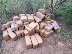 Bundles containing more than 959 pounds of marijuana
seized by Laredo Sector Border Patrol agents south of
Zapata, Tex. /