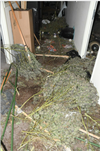 “This was a sophisticated cannabis factory and we believe around 10 people were involved in its daily upkeep.” /
