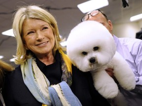Martha Stewart stops to look at a Bichon Frises in the staging area during the 136th Westminster Kennel Club Annual Dog Show held at Madison Square Garden.