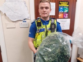 The officer is said to have “located this very large bag of cannabis that had been hidden, but not very well.” /