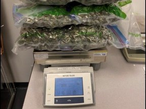 Combined, the bags weighed about 3.5 kilograms. /
