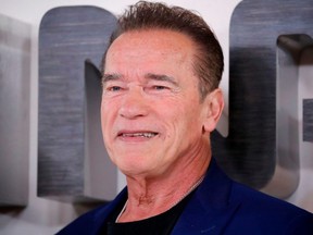 FILE: Austrian-US actor Arnold Schwarzenegger poses during a photo call to promote the film Terminator: Dark Fate in London on Oct. 17, 2019. /