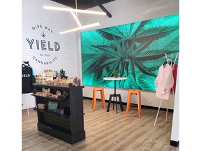Yield Cannabis Co. stocks a wide range of product including Yield Cannabis Co. apparel.