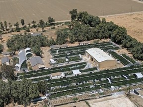 The operation was spread across 18 greenhouses and 40 acres.