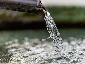 By studying water use in permitted cannabis farming, the University of California Berkley Cannabis Research Center hopes to "support policy that accomplishes both environmental protection and the successful development of a regulated cannabis industry."