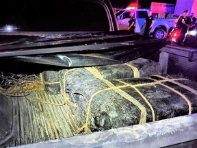 In all, five bundles of cannabis weighing about 189 kilograms were found in the truck bed and cab. /