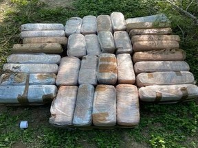 Pick-up truck was carrying 256 kilograms of cannabis. /