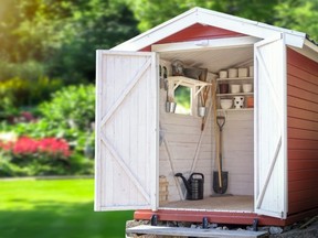 Image for representation. It is alleged Jamie Saunders, 28, grew more than 210 plants in an underground shipping container concealed under his grandmother’s garden shed. /