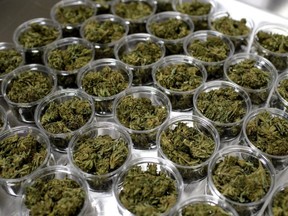 Hemp flowers packed in containers sit on a table at a hemp extract processing and distribution plant, on April 13, 2021 in Binghamton, New York.