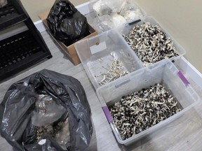 RCMP seized 11 kilograms of dried psilocybin mushrooms and 18 kilograms of wet psilocybin mushrooms. /