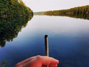 A hazy day by the lake.