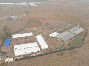 Aerial view of one of the illegal grow-ops busted in Oregon. /