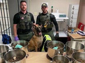 Members of the DeSoto County Sheriff’s Office, K9 Kita and pots of pot. /