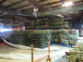 The police found five industrial-sized warehouses stuffed with weed. /